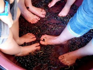 https://picasaweb.google.com/115584536204325884918/AgriturismoMurnee